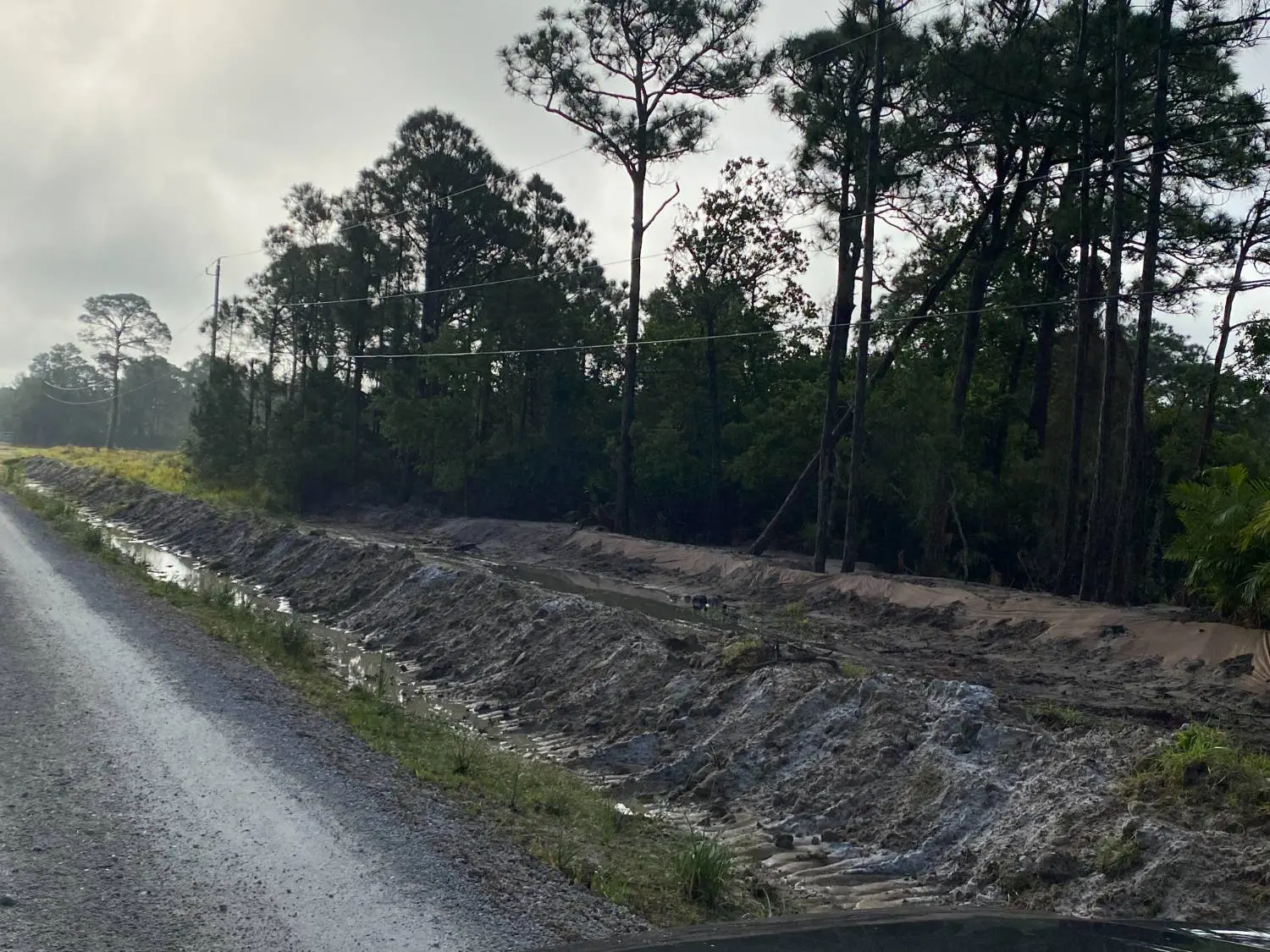 Excavator clearing land beside a sandy road